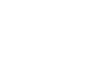 icon1